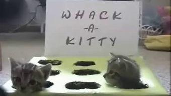 黑料吃瓜网apk普通安装 