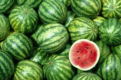 西瓜视频在线免费观看 