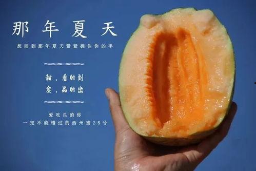 黑料吃瓜网apk普通安装 
